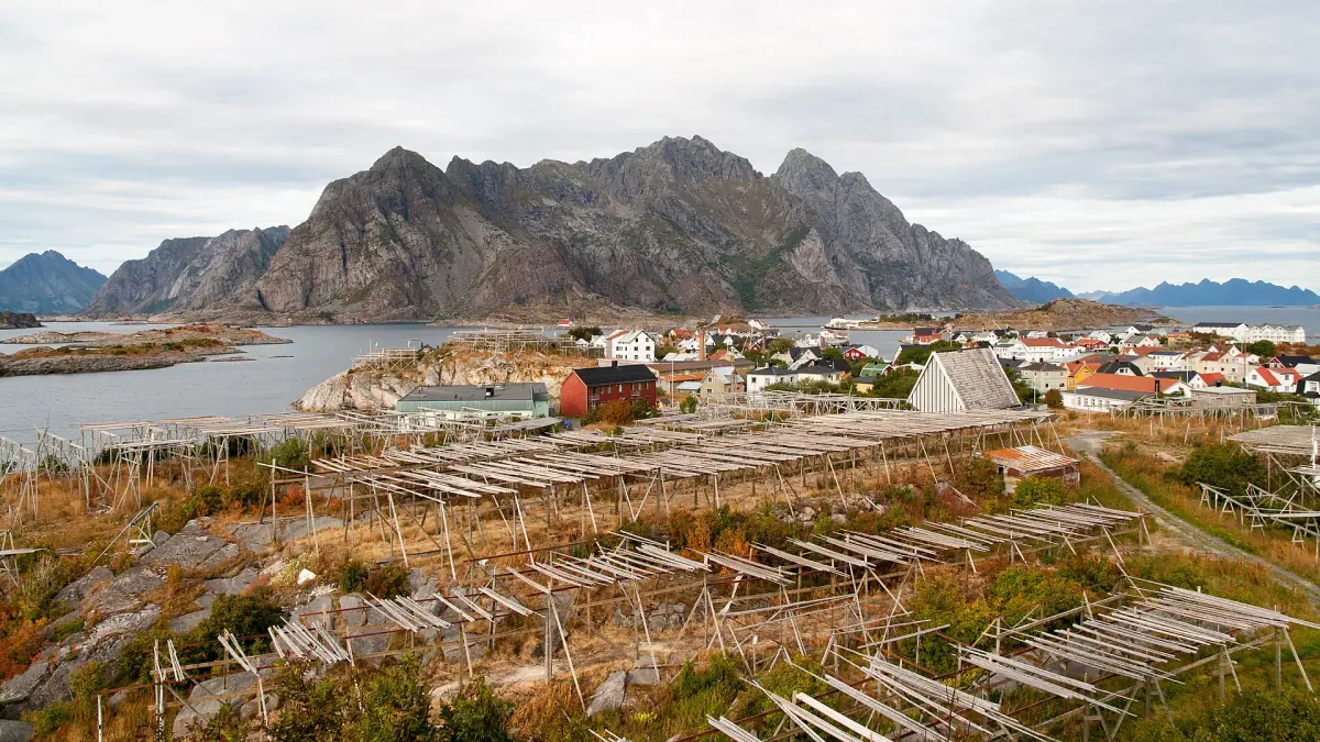 Fish drying racks near Henningsvær